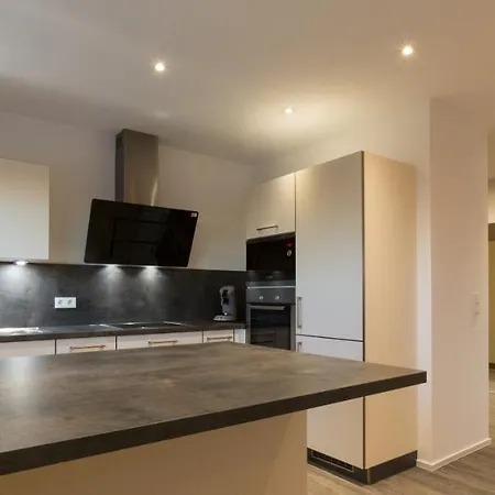 Boardinghouse E68 アパート シュリーンゲン